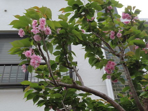 IMG_7598.jpg