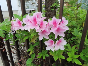 IMG_7600.jpg