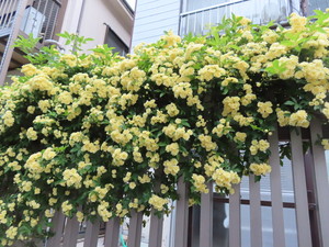 IMG_7602.jpg