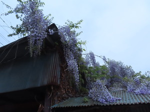 IMG_7614.jpg