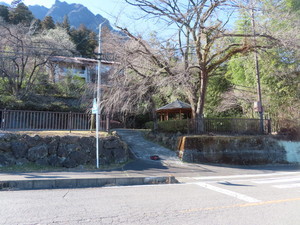 IMG_7668.jpg