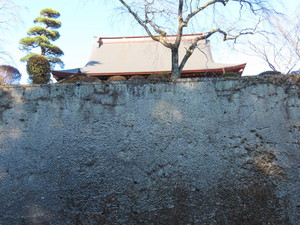 IMG_7679.jpg