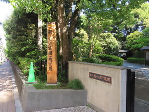 IMG_7682.jpg