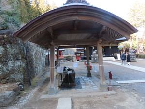 IMG_7687.jpg
