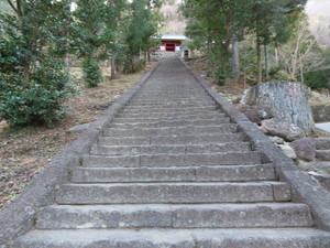 IMG_7689.jpg