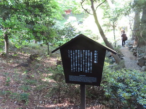 IMG_7697.jpg