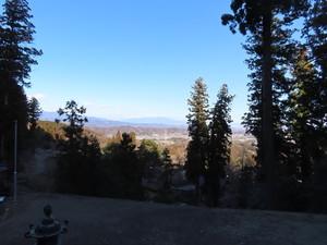 IMG_7700.jpg