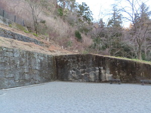 IMG_7704.jpg