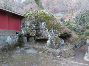 IMG_7705.jpg