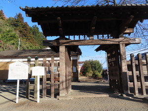 IMG_7736.jpg