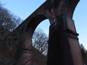 IMG_7752.jpg