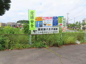 IMG_7781.jpg
