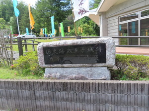 IMG_7798.jpg