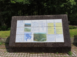 IMG_7800.jpg