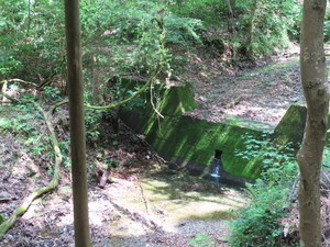 IMG_7809.jpg