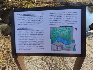 IMG_7811.jpg