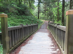 IMG_7820.jpg