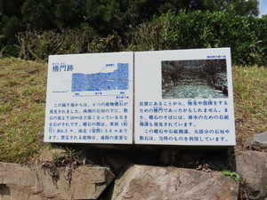 IMG_7842.jpg