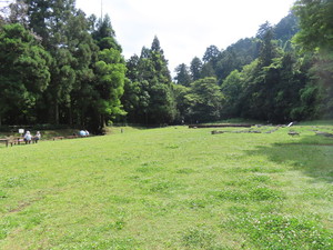 IMG_7848.jpg