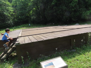 IMG_7855.jpg