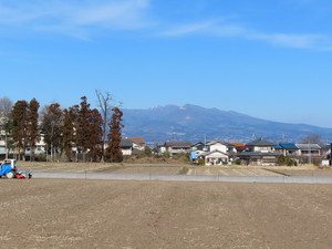 IMG_7860.jpg
