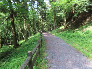 IMG_7875.jpg