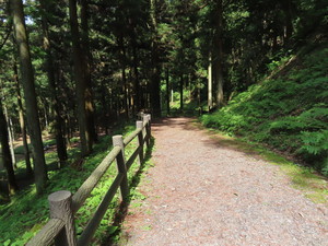 IMG_7876.jpg