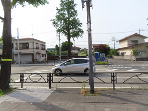 IMG_7903.jpg