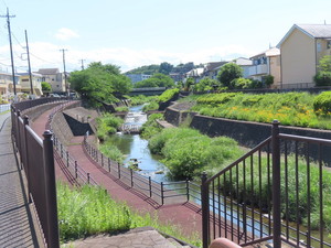 IMG_7936.jpg