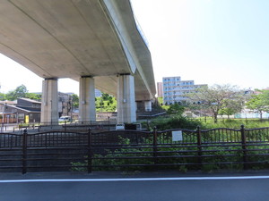 IMG_7944.jpg
