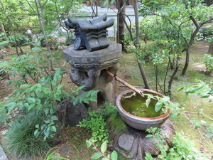 IMG_7975.jpg