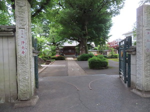IMG_7986.jpg