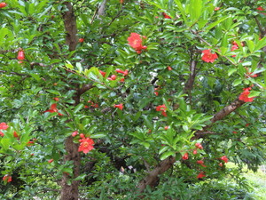 IMG_7990.jpg