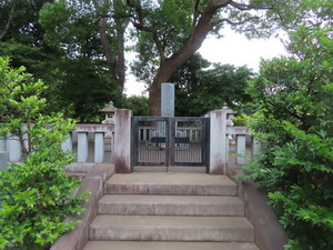 IMG_7995.jpg