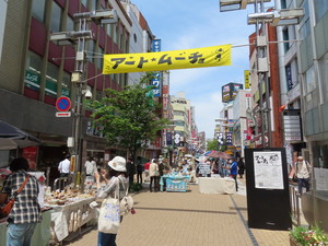 IMG_8023.jpg