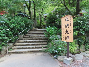 IMG_8080.jpg