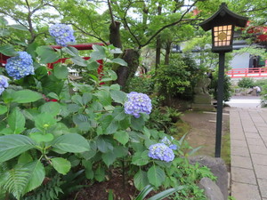 IMG_8088.jpg