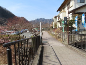 IMG_8100.jpg