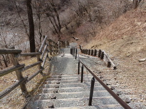 IMG_8120.jpg