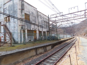 IMG_8137.jpg