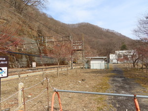 IMG_8139.jpg