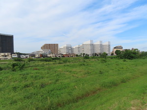 IMG_8150.jpg