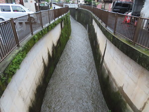 IMG_8154.jpg
