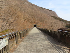 IMG_8161.jpg