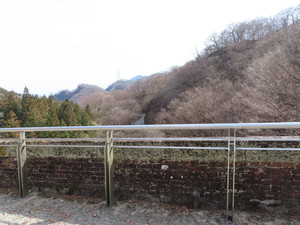 IMG_8163.jpg