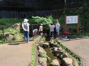 IMG_8177.jpg