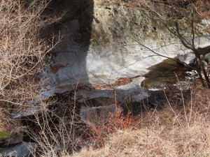 IMG_8179.jpg