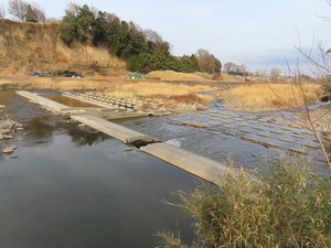 IMG_8184.jpg