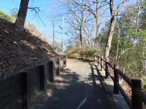 IMG_8219.jpg