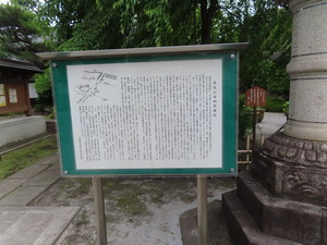IMG_8222.jpg